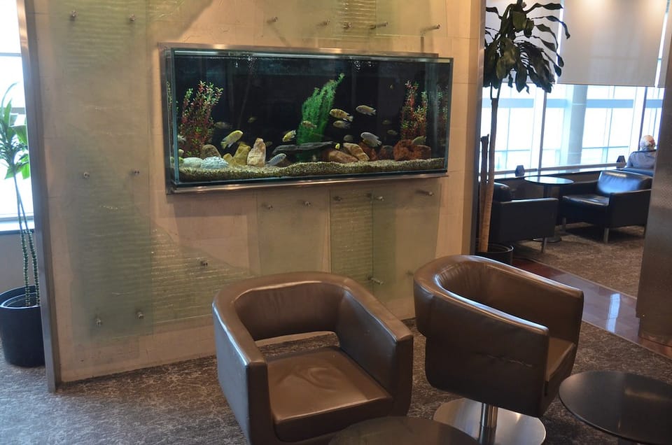 Air Canada Maple Leaf Lounge – Airport (YHZ) (YHZ)