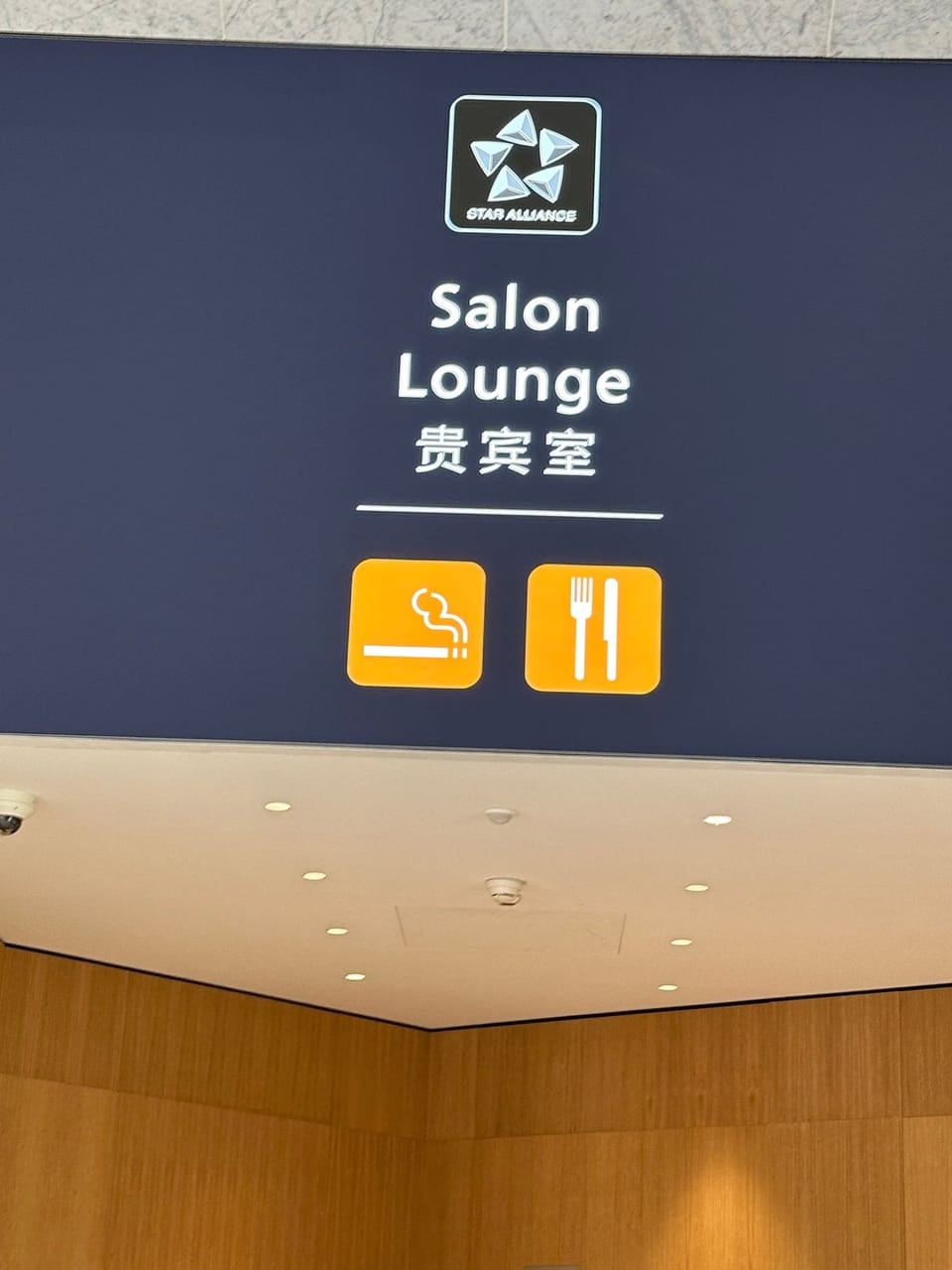 Star Alliance Lounge – Paris Charles de Gaulle Airport (CDG)