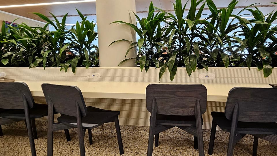 The Qantas Club (Domestic) – Adelaide Airport (ADL), Terminal 1 – lounge interior