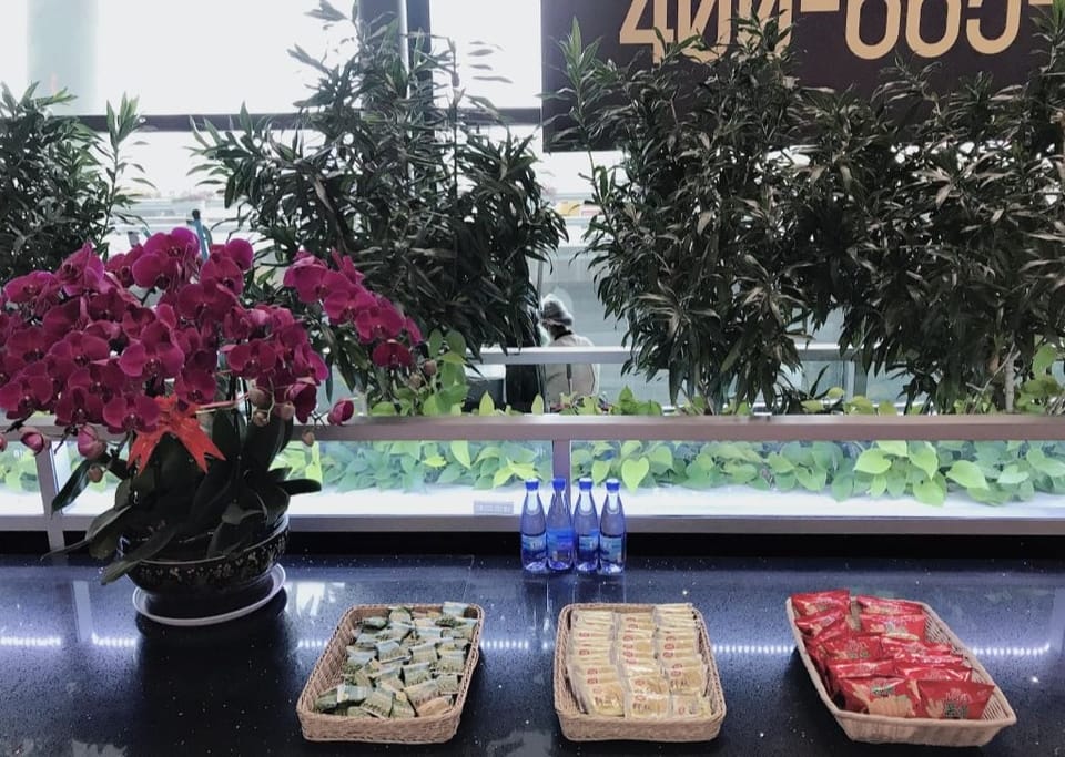 Easy-boarding VIP Reception Center – Shenyang Taoxian Airport (SHE), Terminal 3